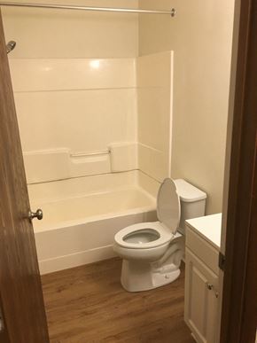 Worthington apartment for rent - a bathroom with a toilet and a bath tub