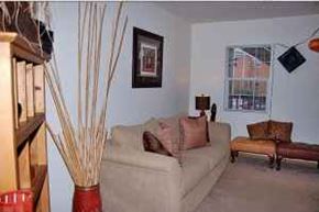 Columbus apartment for rent - A living room with a couch, a chair, and a vase with tall sticks in it.