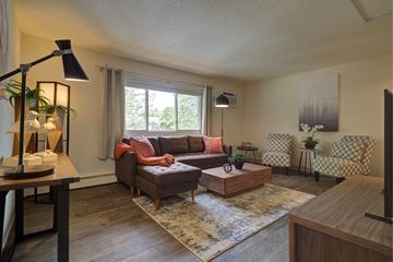 Seabrook apartment for rent - a living room with a couch and a coffee table