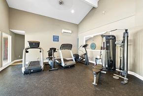 Summerville apartment for rent - A gym with treadmills, elliptical machines, and weights.