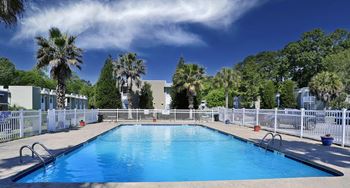 Sparkling swimming pool