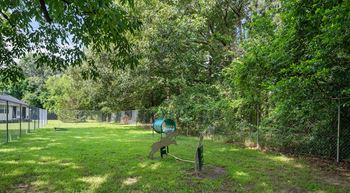 Pet park