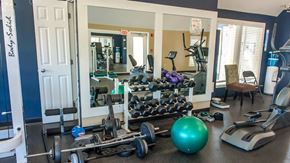 Derry apartment for rent - a gym full of weights and cardio equipment