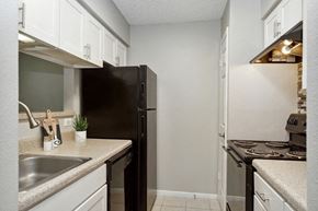 Tampa apartment for rent - kitchen with cabinets and sink