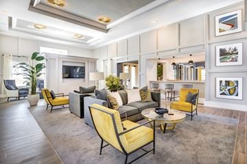 Daytona Beach apartment for rent - A living room with a yellow chair and grey couch.