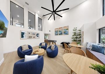 Tampa apartment for rent - A modern living room with blue chairs and a wooden table.