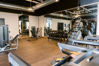 Gym with variety of equipment's