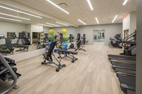 Pittsburgh apartment for rent - A gym with a variety of equipment including treadmills, weights, and exercise machines at The Pennsylvanian Apartments, Pittsburgh, 15222