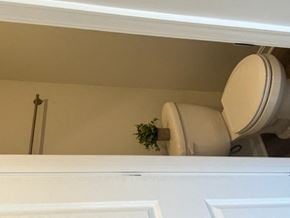 Chambersburg apartment for rent - a bathroom with a toilet and a plant in it