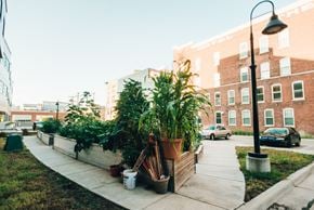 Grand Rapids apartment for rent - community garden in downtown