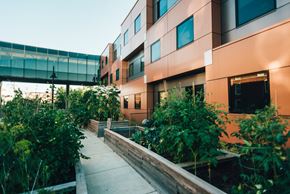 Grand Rapids apartment for rent - modern cubed building with walkway bridge and community garden