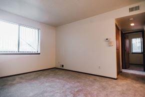 Rockford apartment for rent - Apartment living area