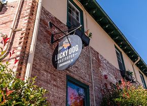Conshohocken apartment for rent - a brick building with a lucky dogs sign on the side of it
