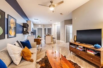 Charlotte apartment for rent - a living room with a couch and a tv