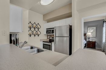 Gourmet kitchens
