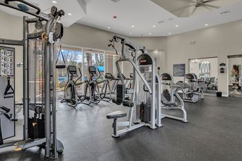 Free weights