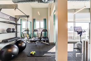 Boston apartment for rent - a gym with weights and other exercise equipment and windows