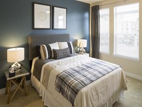Denver apartment for rent - Bedroom with a bed and windows at Pearl DTC, Denver, CO, 80237