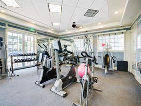 Lake Park apartment for rent - a gym with a lot of exercise equipment