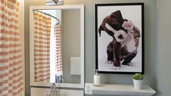 Bathroom mirror