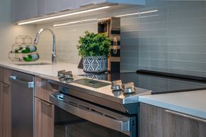 Conshohocken apartment for rent - a modern kitchen with stainless steel appliances and a plant