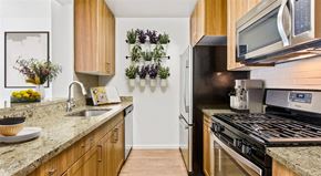Bronxville apartment for rent - a kitchen with a stove a sink and a microwave