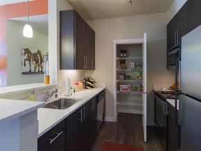 Bothell apartment for rent - a kitchen with a sink and refrigerator and a pantry