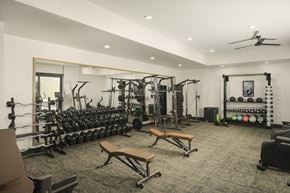Tempe apartment for rent - A spacious gym with a variety of equipment including dumbbells, weight plates, and a bench.