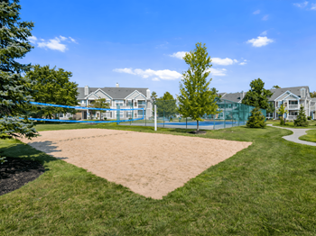 Volleyball court