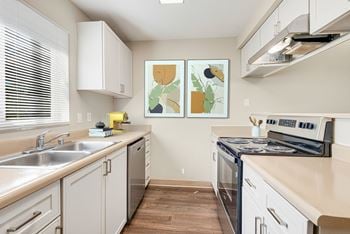 Stainless steel appliance*