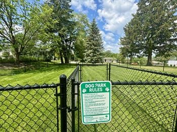 Dog park