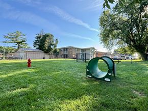 Madison apartment for rent - A playground with a green slide and a red fire hydrant in a grassy area.