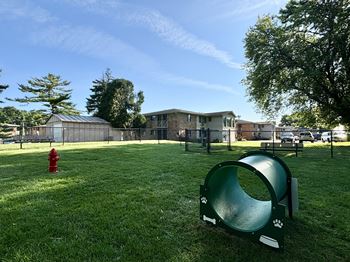 Dog park