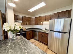 Madison apartment for rent - A kitchen with a granite countertop and stainless steel appliances.