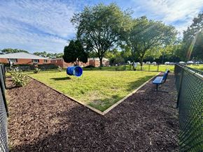 Madison apartment for rent - A park with a blue exercise ball in the middle of a grassy area.