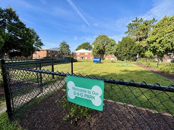 Dedicated bark park for dogs