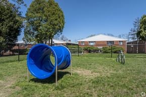 Madison apartment for rent - A blue slide in a playground with a building in the background.