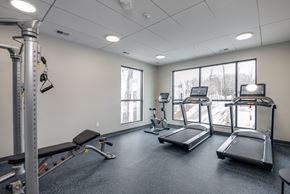 Brookfield apartment for rent - A gym with treadmills, a weight bench, and a squat rack.