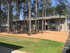 Wausau apartment for rent - A building with a brown roof and tan walls is surrounded by tall pine trees.