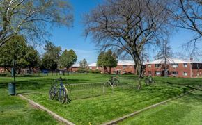 Madison apartment for rent - A park with a bicycle and a fence.