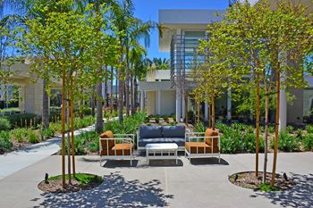 Expert landscaping