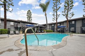 San Bernardino apartment for rent - A swimming pool surrounded by trees and chairs.