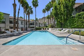 Palm Springs apartment for rent - A swimming pool surrounded by palm trees and lounge chairs.