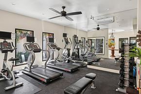 Palm Springs apartment for rent - A spacious gym with treadmills, elliptical machines, and a ceiling fan.