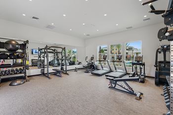 Fully equipped cardio & strength training station