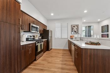 State-of-the-art kitchen