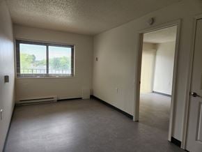 Kokomo apartment for rent - an empty living room with a large window