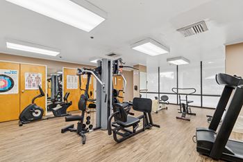 A gym with a variety of equipment including treadmills, weights, and exercise machines.