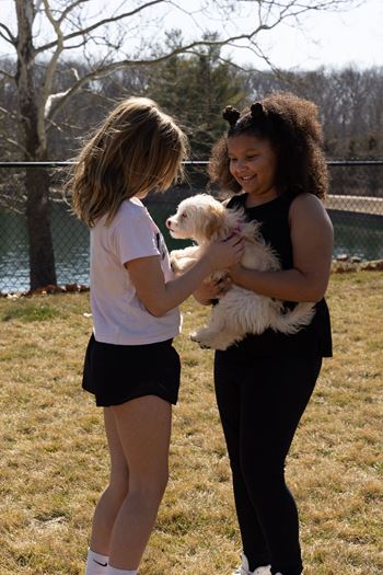 Dog park