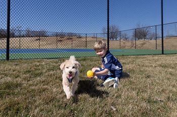 Dog park